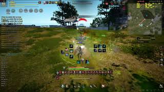 Black Desert Online: Ranger vs Witch Beebeebeebeebeebee