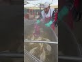 Cooking 2,500 Kg of Beef Stew. Italy Food Festival in Turin, Torino