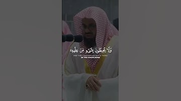 آية الكرسي #القرآن_الكريم #تلاوة_خاشعة #راحة_نفسية #صلوا_على_النبي #تلاوات