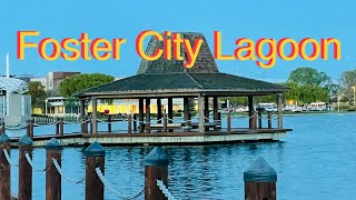 Lagoon @ Foster City, CA