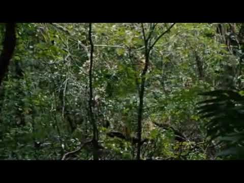 فيلم قوه الهنود الحمر متع عقلك 