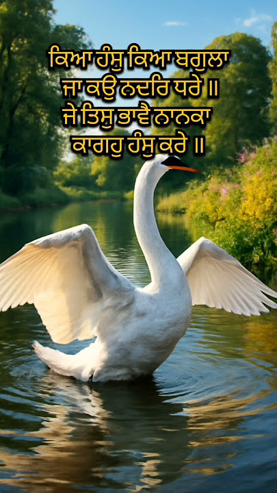 Baba Shaikh Farid ji Salok #gurbani #salokbhagatfaridji