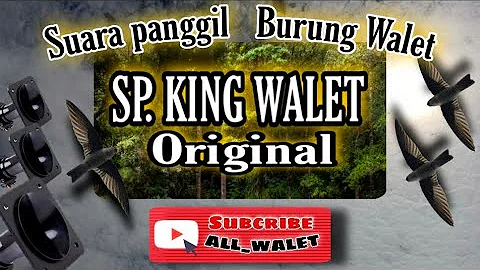 THE CALLING SOUND OF THE Swallow "SP KING Swallow ORIGINAL" #ALL_WALET