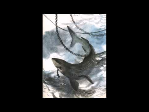 Акула. Кто в море живёт