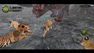 Camel, Fox, Sheep, Cheetah, Tiger, Lion Gameplay - Animal Games | Camel GamePlay | Wild Animal Games screenshot 5