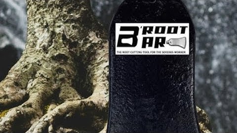 tree roots dug put Easily by the B