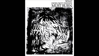 Bad Trip - What Does Not Evolve Must Burn - 2010 Full E.P.
