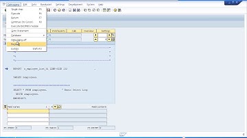 18 SAP ABAP Training   Debugging Your Programs Part 1