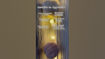 Assertive vs Aggressive. Know the difference. #assertive #aggressive #boundarysetting