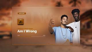 REGGAE REMIX 2023 - Am I Wrong (Nação Reggae Remix) | Produced by Nação Reggae | International Remix