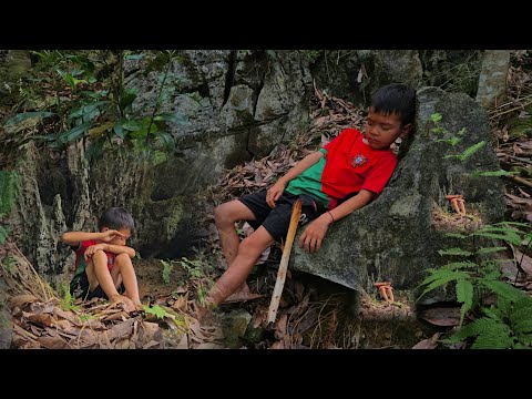 Baby lost in the forest for 2 days, what to eat to survive?