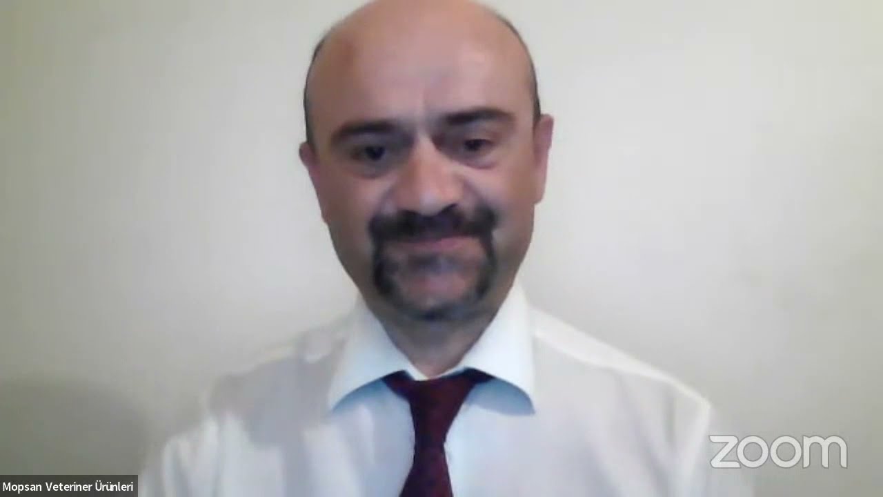 Mopsan Veteriner Ürünleri / Virbac - Kedi ve Köpeklerde Bakteriyel ve Mikotik Otitis