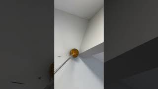 Spider Webs in Garage