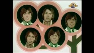 Bee Gees | Kitty Can (1968)