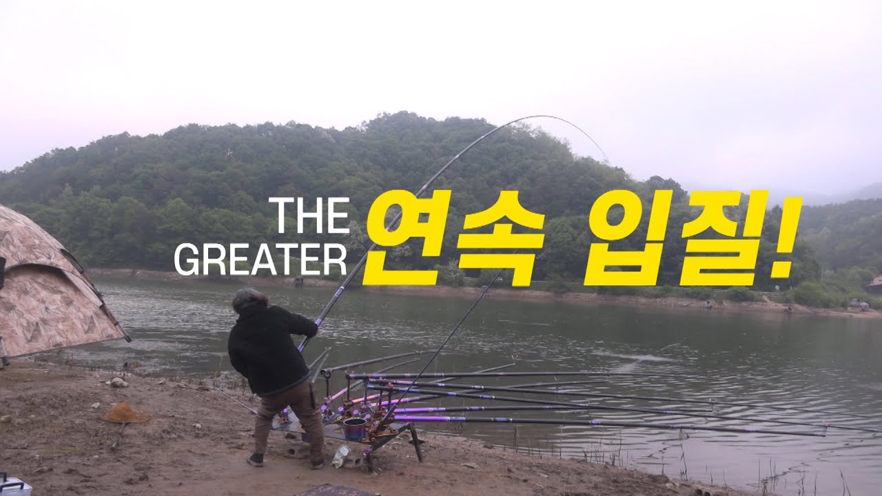 대물 마릿수 조과 비밀(풀영상)  -대물 잉어 연속 입질!!