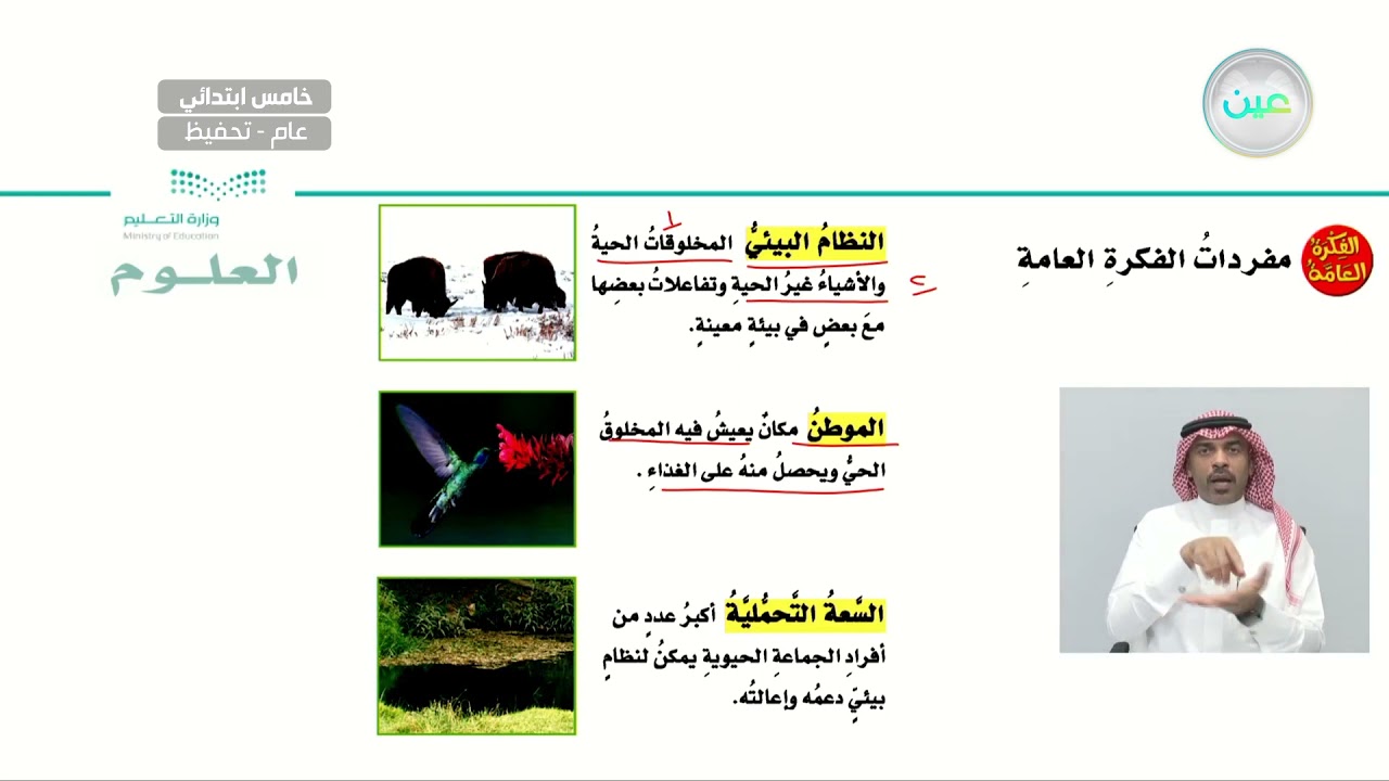 النظام البيئي - العلوم - خامس ابتدائي