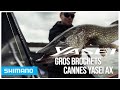 Pche des gros brochets avec les cannes yasei pike spinning  casting