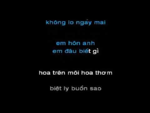 That's Why (You Go Away) midi | Nhạc ngoại lời Việt