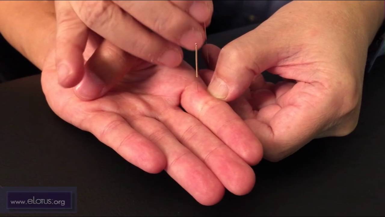 Dajian (T 11.01) [ESPAÑOL]: Punto del Maestro Tung, por Chuan-Min Wang