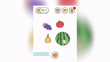 Brain Find Level 1 2 3 4 5