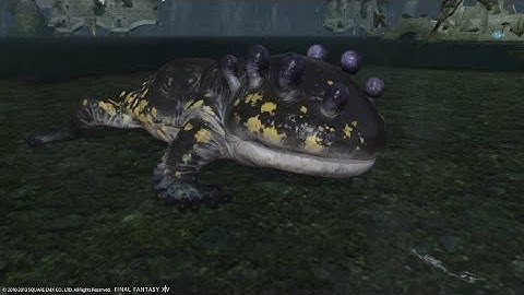 FFXIV Hunting Log Archer Rank 4 - Salamander
