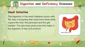 Genius Gems Books EVS Class 5 Chapter 4