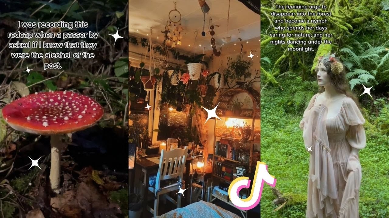 Fairycore and Gremlincore 🧚 Part 12 🍄 tiktok compilation