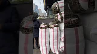 Eda Sakız Yeni Tiktok Videosu Deprem Bölgesine Gönderilecek 3.Tır Hazırlanıyor