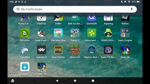 How To Fix Bug In Sonic 2 Absolute