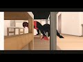 Mmd WOLFYCHU, I love you