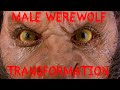 best werewolf transformation - from man to wolf - American Werewolf in London HD