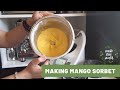 Making mango sorbet  one way to use up mushy fruit