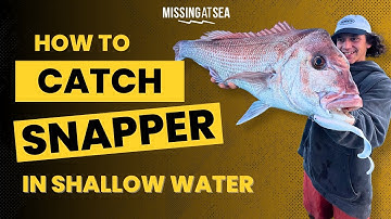 How to catch MASSIVE SNAPPER in shallow water 🎣