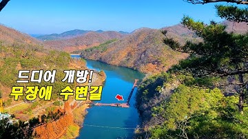 국내 최대 메타세콰이어 숲! 물빛 거닐길 드디어 개통 / 대중교통 당일치기 여행