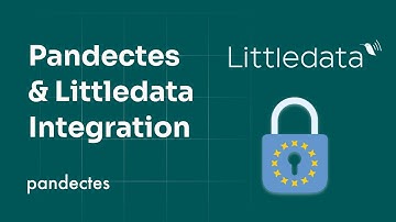 How Little Data and Pandectes work together (Optimal Setup for Pandectes)