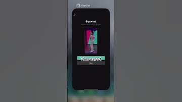 How to create gifs with CapCut! #shorts #capcut #editing #tutorial #gif
