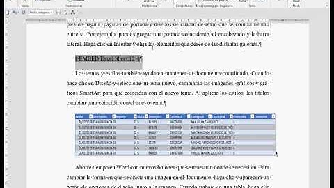 Insertar Excel en Word