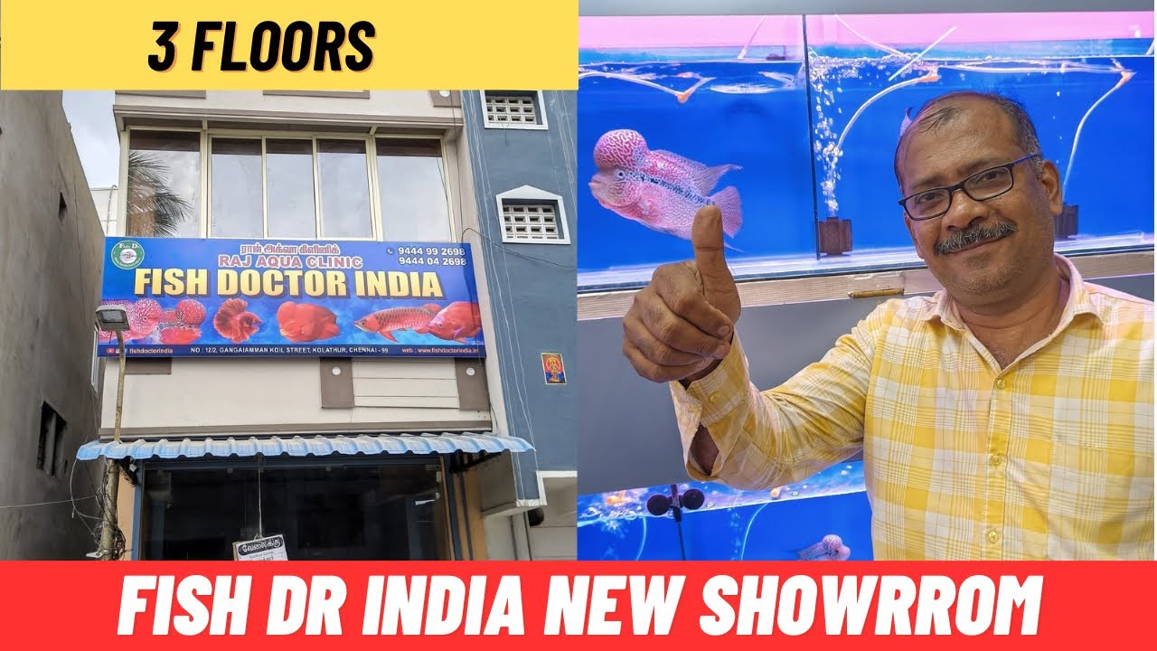 Fish doctor India new retail aquarium showroom | shop tour