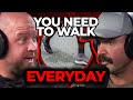 Walking Everyday Will Change Your Life