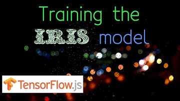 TensorFlow.js Iris example part 3 - Creating the model and Training against the data