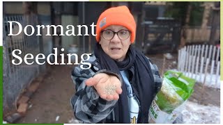 Dormant Seeding