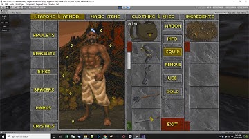 DFUnity - Outfit Manager Release 1.0