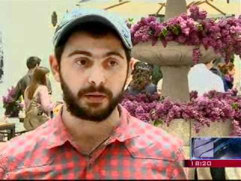 იასამნისფერი ალმანახი -  ... და მერე?!