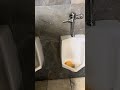 SuperMex El Pueblo Market Men’s Restroom