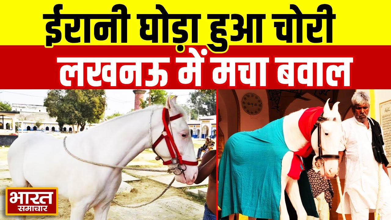 Lucknow News : ईरानी घोड़ा हुआ चोरी,लखनऊ में मचा बवाल,क्या है इसका धार्मिक इतिहास !