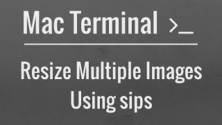 Easily Resize Multiple Images Using the Mac Terminal