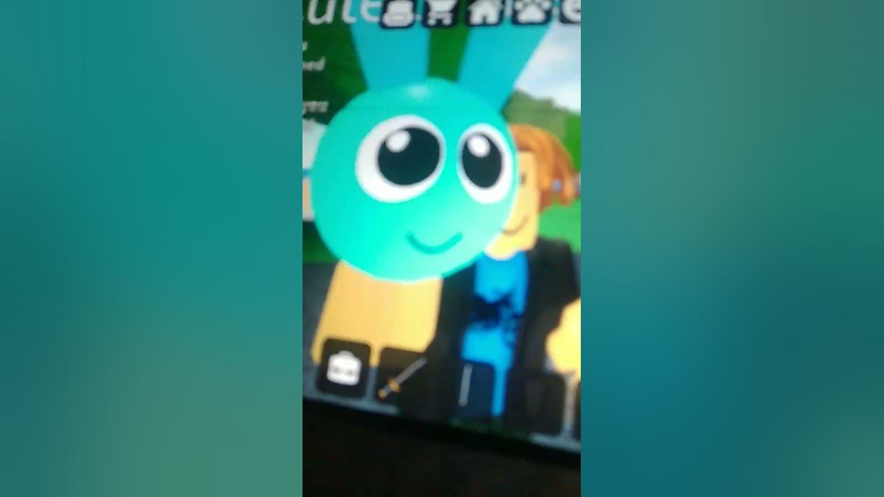 my-pet-on-work-a-pizza-place-youtube