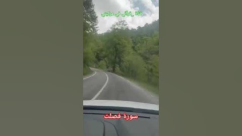 #سورة _فصلت #قرآن #quransurah#Surah Fussilat