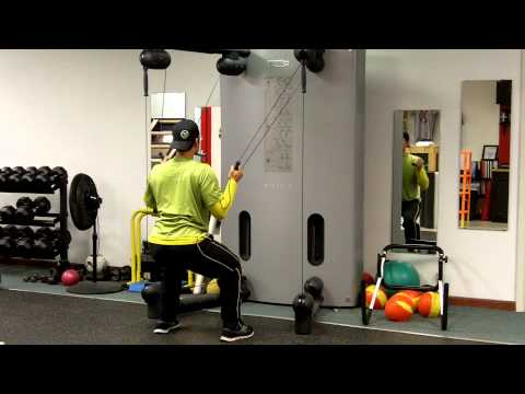Kinesis Single/Single Double Back Row (High Pull)