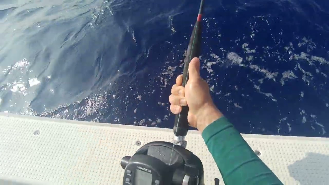 石垣島パヤオにて初めてのエビングによるマグロ釣り❗